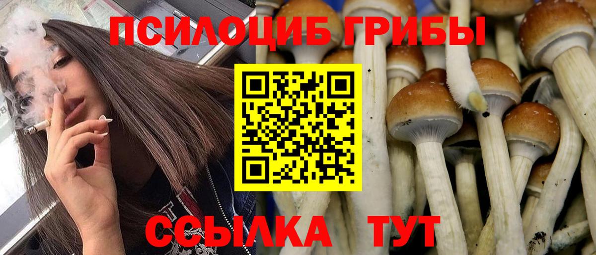 Санкт-Петербург  Галлюциногенные грибы прущие грибы  Вход с VPN 