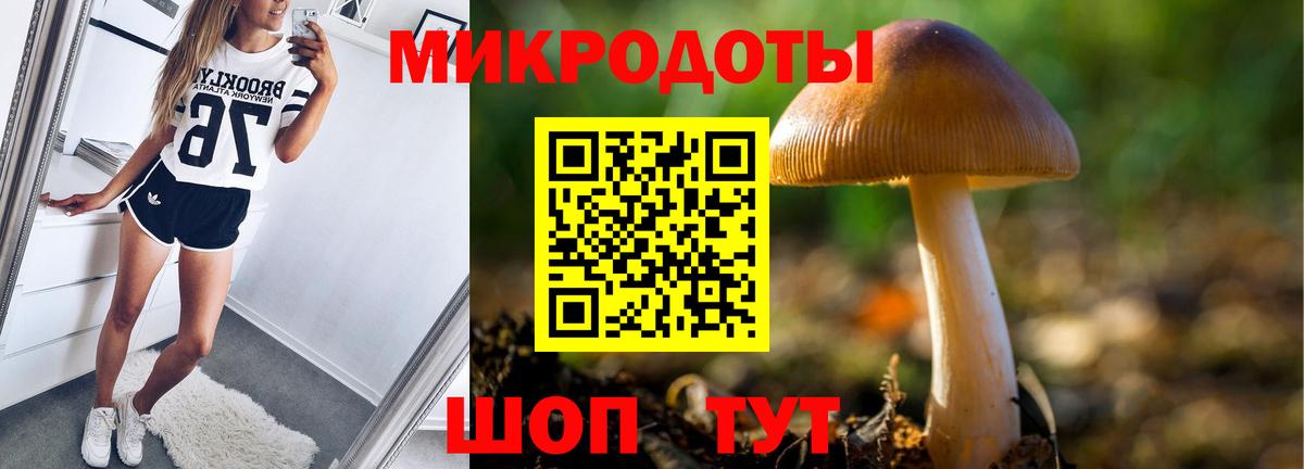 Галлюциногенные грибы Psilocybine cubensis Санкт-Петербург